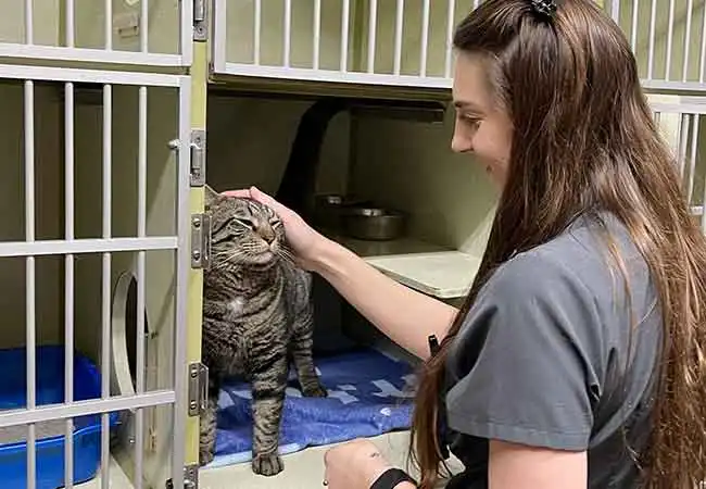 Cherokee Hospital for Animals - Boarding Services