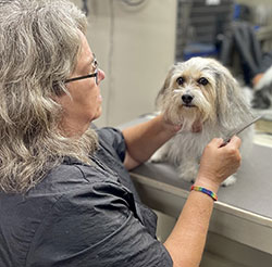 Cherokee Hospital for Animals - Grooming Services