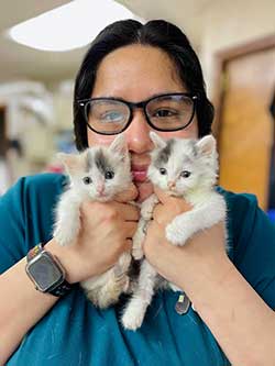 Cherokee Hospital for Animals - Kitten Care