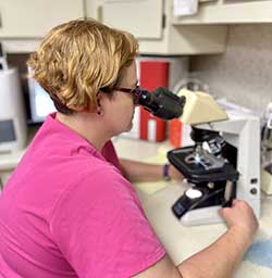 Cherokee Hospital for Animals - Parasite Control