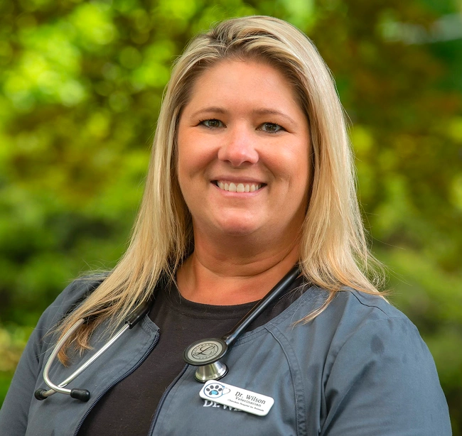 Dr. Amanda Wilson