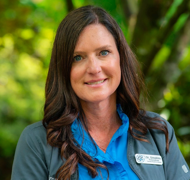 Dr. Robin Simpkins