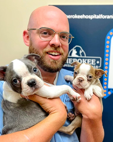 Puppy & Kitten Care