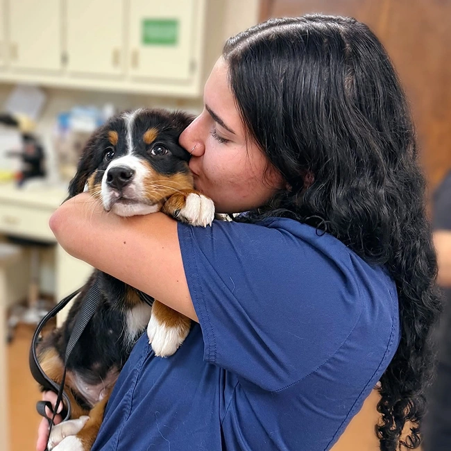 Our PetDesk App