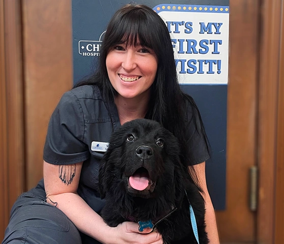 Spay and Neuter Procedure